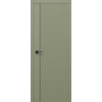  Дверь DSRIT 1
